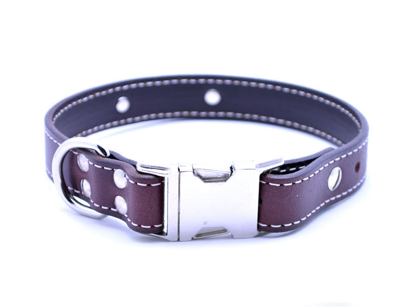 Side Release Buckle Leather Collar with Personalized Nameplate - Flying Dog Collars