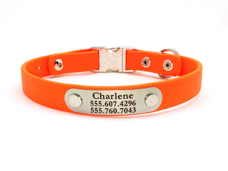 Side Release Buckle Waterproof Collar with Laser Engraved NamePlate - Flying Dog Collars