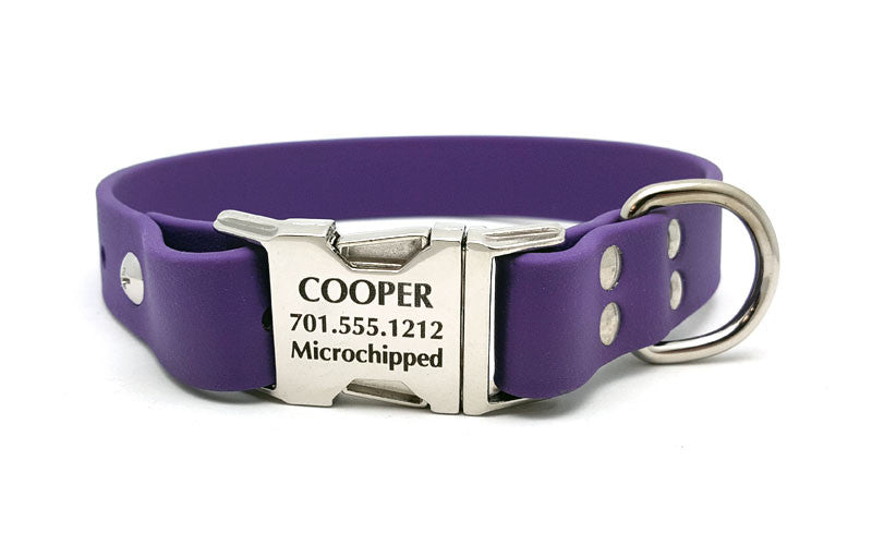 Waterproof Collar with Laser Engraved Side Release Buckle - Flying Dog Collars