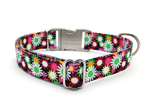 Daisy Field Polyester Webbing Dog Collar with Laser Engraved Personalized Buckle - Flying Dog Collars