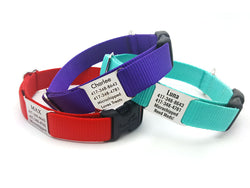 StrapTag Nylon Webbing Collar with Personalized NamePlate - Flying Dog Collars