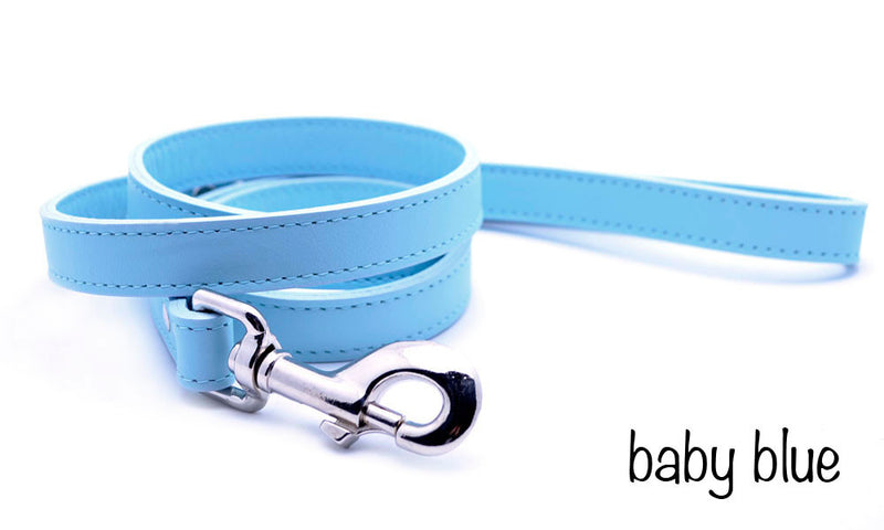 Leather Dog Leash with Personalized Nameplate - Flying Dog Collars