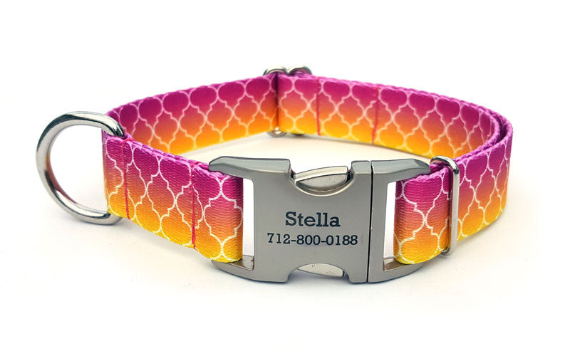 Fabulous Hombre Polyester Webbing Dog Collar with Laser Engraved Personalized Buckle - Flying Dog Collars