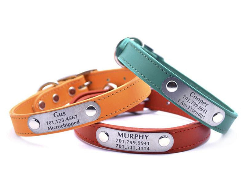 Leather Dog Collar with Personalized Nameplate - Flying Dog Collars