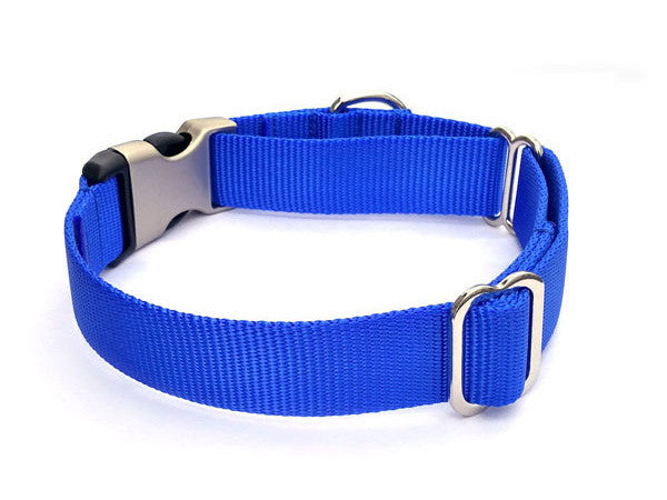 Buckle Martingale Dog Collar with Personalized Buckle - Flying Dog Collars