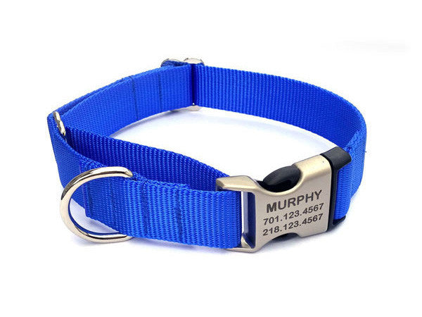 Buckle Martingale Dog Collar with Personalized Buckle - Flying Dog Collars