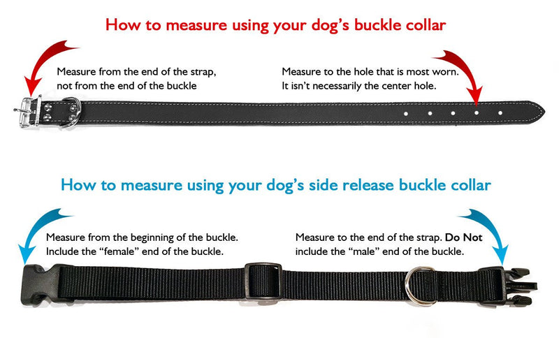 Biothane Waterproof Side Release Buckle Collar – Flying Dog Collars