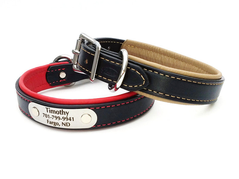 Padded Leather Dog Collar with Laser Engraved Nameplate – Flying Dog Collars