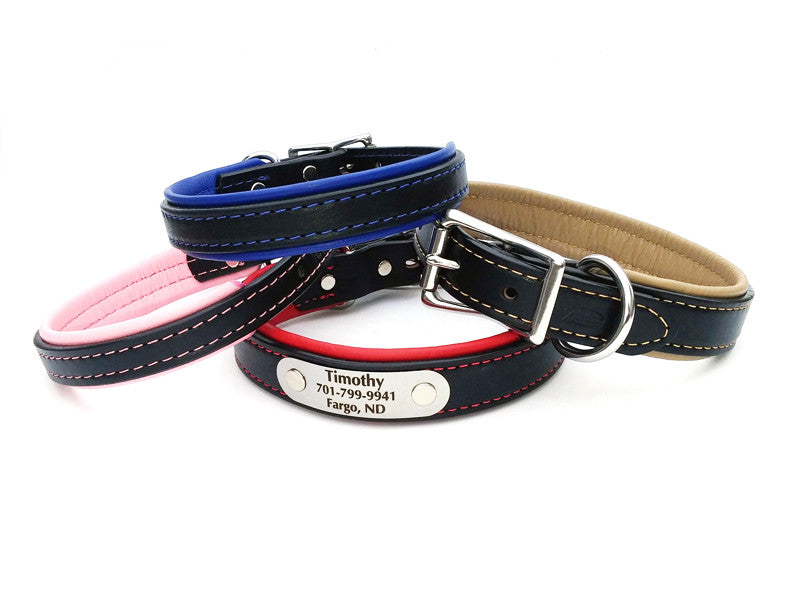 Padded Leather Dog Collar with Laser Engraved Nameplate - Flying Dog Collars