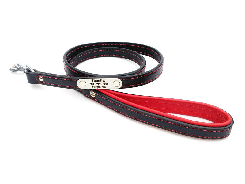 Padded Handle Leather Leash with Laser Engraved Nameplate - Flying Dog Collars