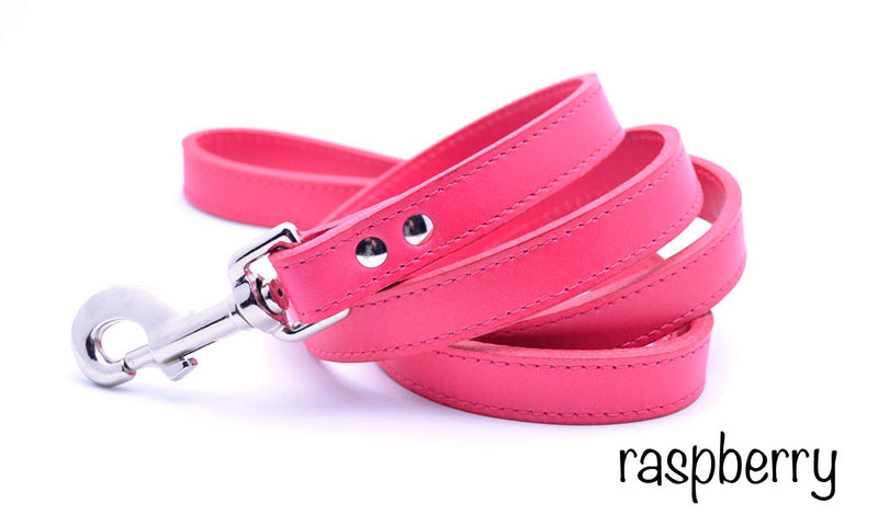 Leather Dog Leash with Personalized Nameplate - Flying Dog Collars