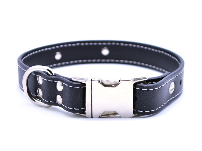 Side Release Buckle Leather Collar with Personalized Nameplate - Flying Dog Collars