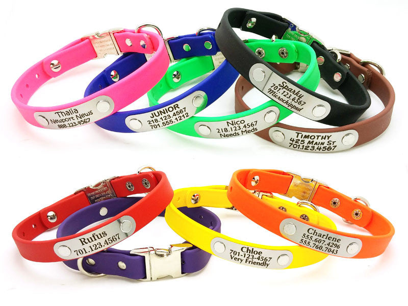 Side Release Buckle Waterproof Collar with Laser Engraved NamePlate - Flying Dog Collars