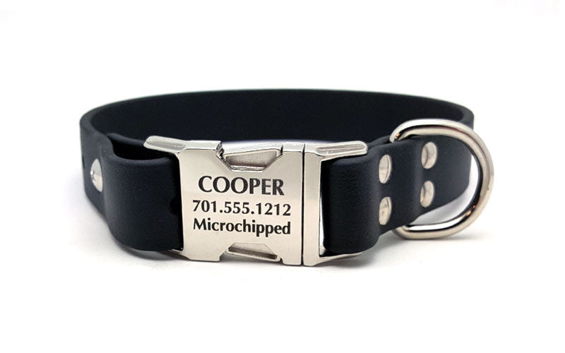 Waterproof Collar with Laser Engraved Side Release Buckle - Flying Dog Collars