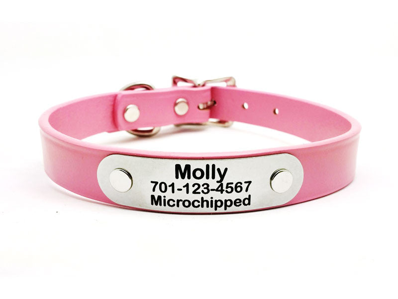 Classic Leather Dog Collar or Leash with Laser Engraved Personalized NamePlate - Flying Dog Collars