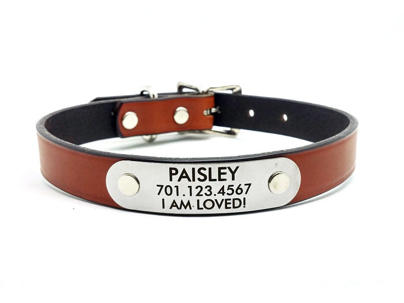 Classic Leather Dog Collar or Leash with Laser Engraved Personalized NamePlate - Flying Dog Collars