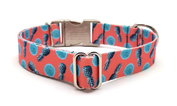 Tropical Tango Polyester Webbing Dog Collar with Laser Engraved Personalized Buckle - Flying Dog Collars